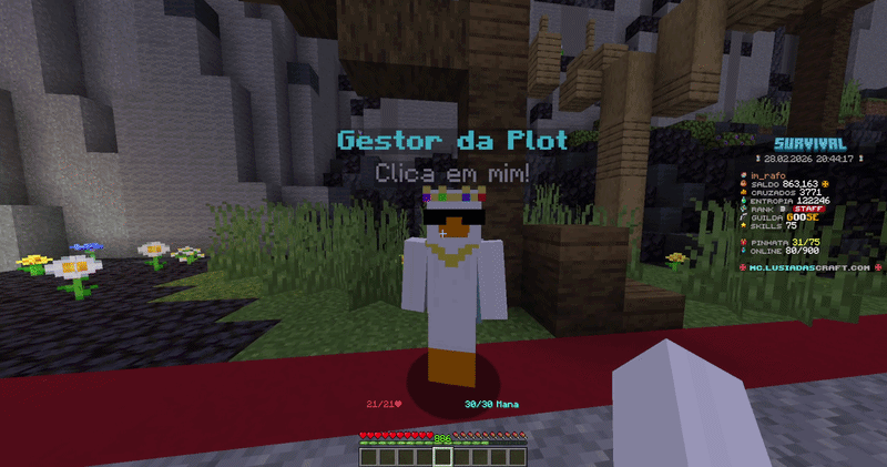 Exemplo de compra de fly